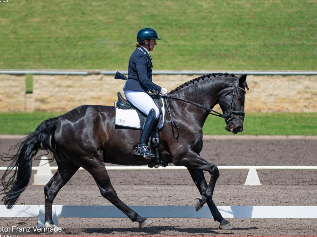 ព្រឹត្តិការណ៍និងប្រកួត: ការពិចារណាពីសារៈសំខាន់នៃវប្បធម៌